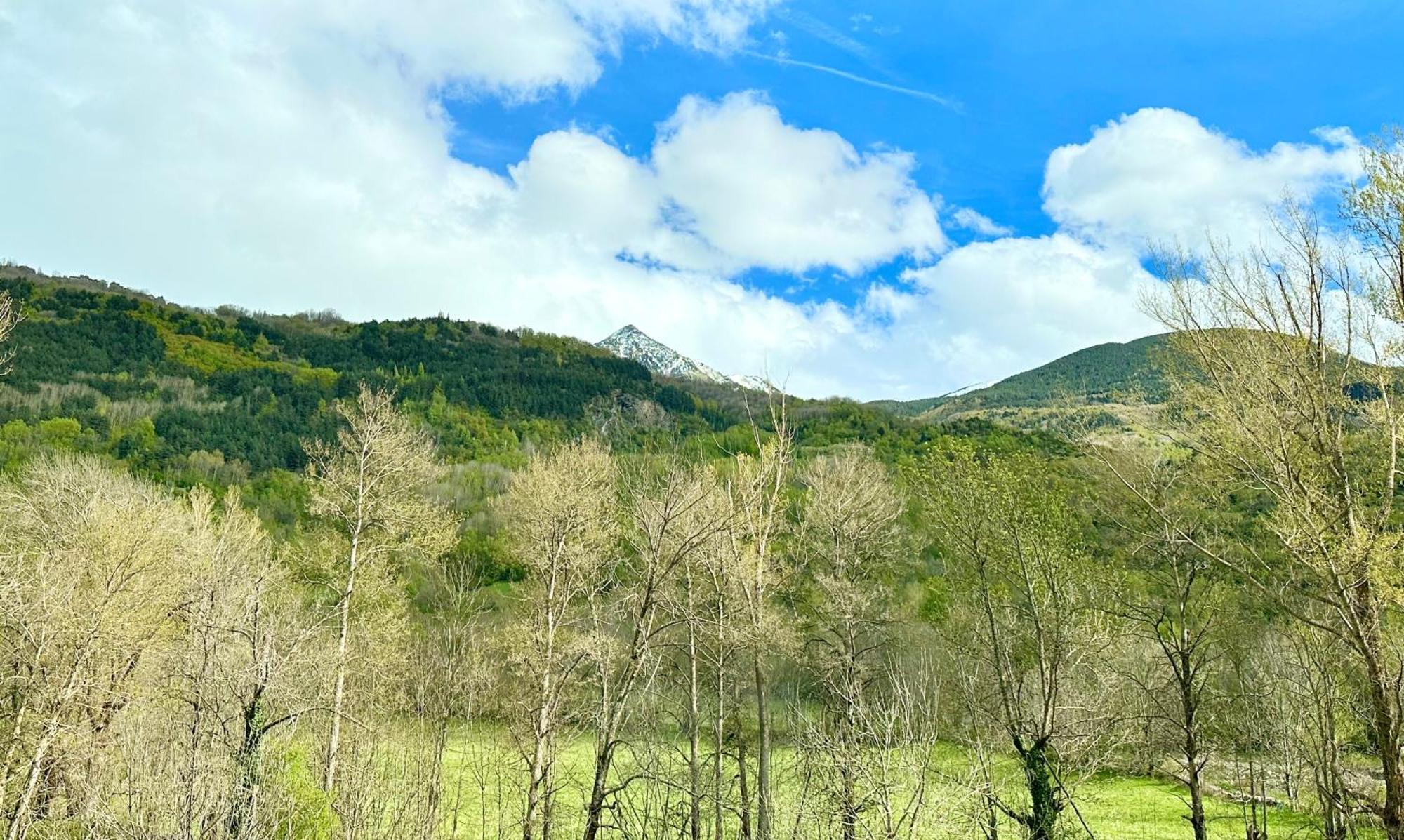 Appartamento Bpirineos-Besurta Benasque Esterno foto